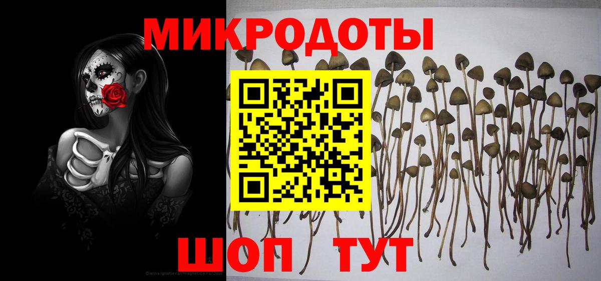 Псилоцибиновые грибы MAGIC MUSHROOMS  Вход с VPN  Галлюциногенные грибы мицелий  Канск 