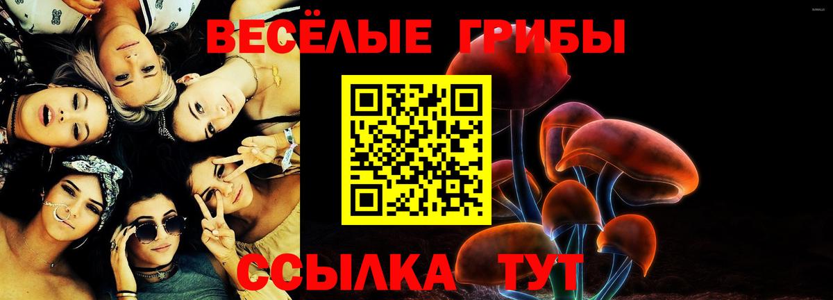 Галлюциногенные грибы прущие грибы Канск